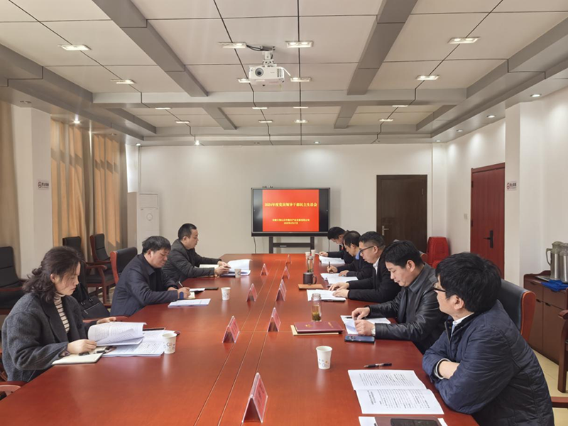 鄉(xiāng)村振興公司召開2024年度黨員領(lǐng)導(dǎo)干部民主生活會